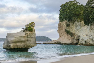 Coastal area named cathedral cove