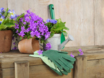 Close-up of purple flower pot on table