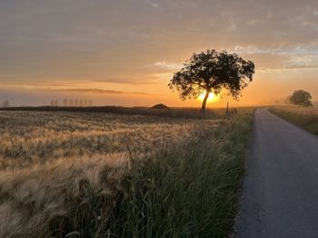 Scenic view of field against sky during sunset