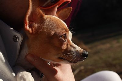 Close-up of woman with dog