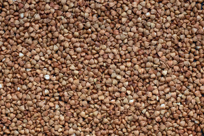 Full frame shot of buckwheat 
