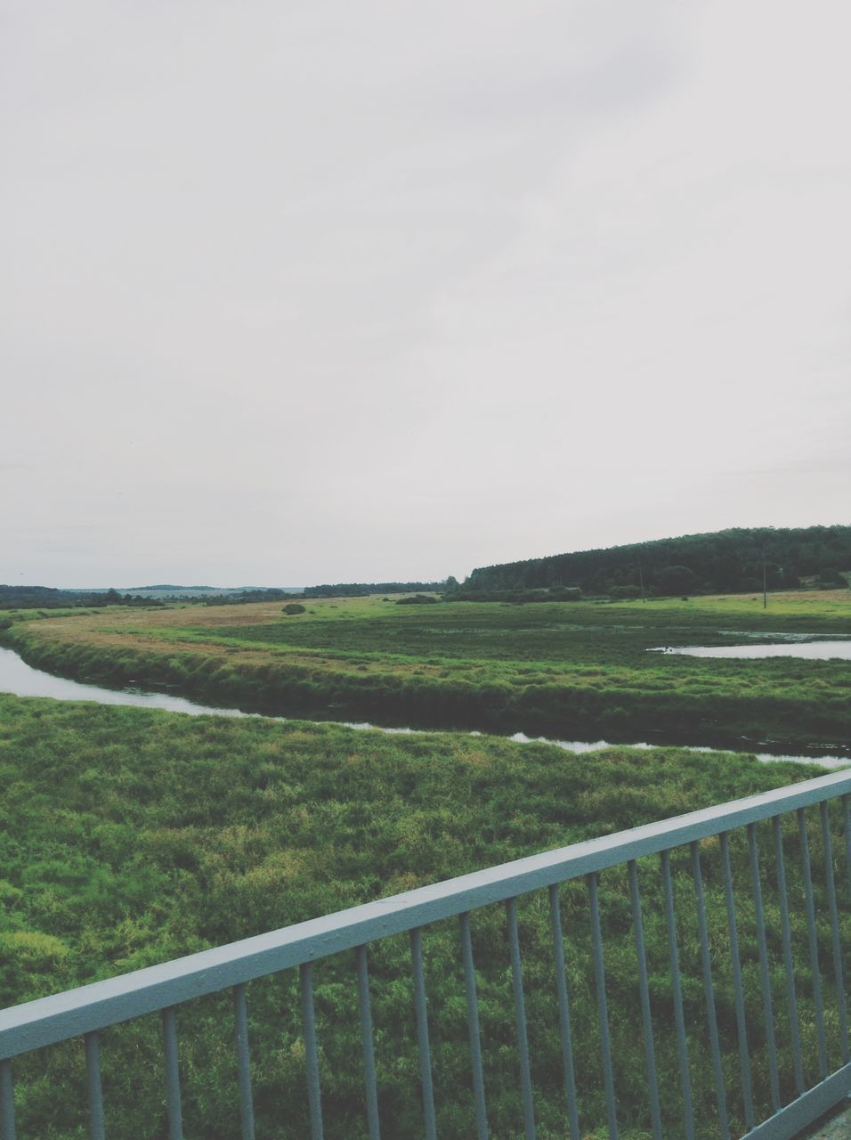 field, landscape, grass, tranquil scene, tranquility, sky, nature, scenics, green color, beauty in nature, road, fence, rural scene, grassy, growth, clear sky, copy space, day, tree, agriculture