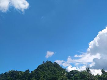 Low angle view of trees against blue sky