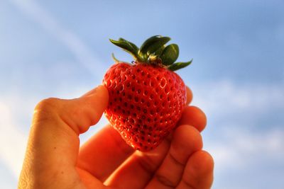 Cropped image of hand holding strawberry against sky
