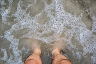 Low section of person standing on beach