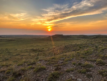 Scenic view of field against sky during sunset