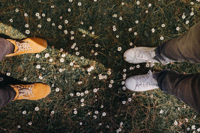 Low section of two men standing on field