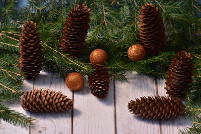 Close-up of pine cones on table