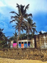 Trees against cloudy sky