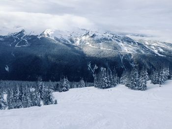 Scenic view whistler mountain from blackcomb snow capped powder ski run