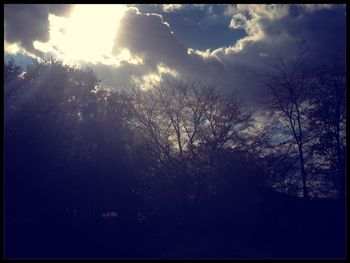 Low angle view of trees against sky