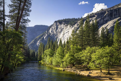 Scenic view of river amidst trees against sky