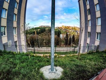 Trees in front of building