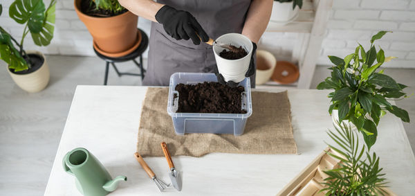 Cropped hands of woman holding potted plant