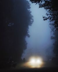 Silhouette trees by road against sky at night