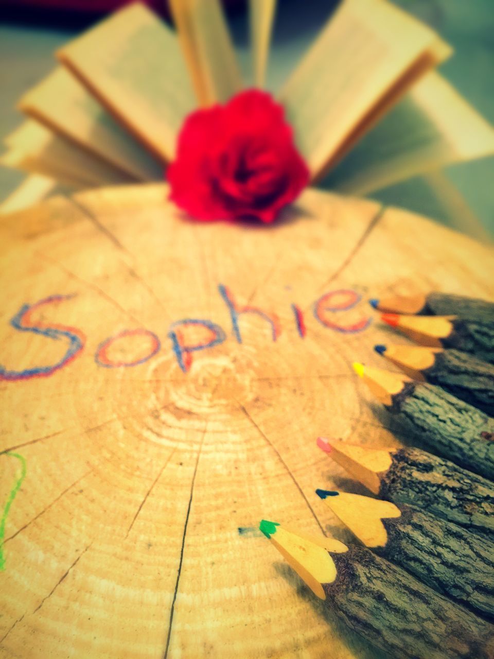 indoors, wood - material, still life, table, close-up, art and craft, pencil, wooden, paper, creativity, book, high angle view, multi colored, art, wood, education, colored pencil, variation, selective focus, plank