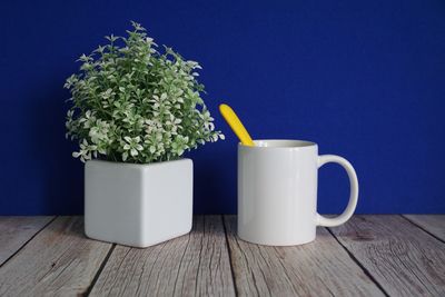 Close-up of potted plant on table