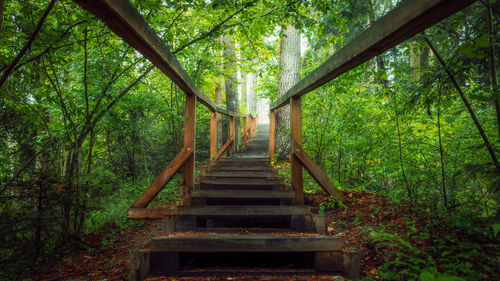 Low angle view of staircase