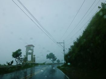 Road along trees