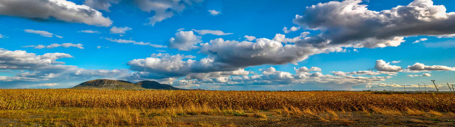 Panoramic view of field against blue sky