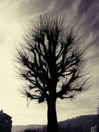 Silhouette of tree against cloudy sky