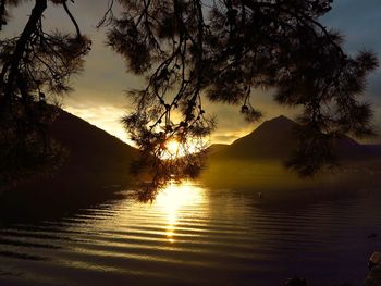 Silhouette tree by lake against sky during sunset