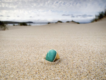 Close-up of shell on sand