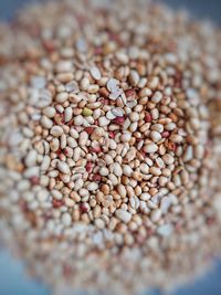 High angle view of eggs in container