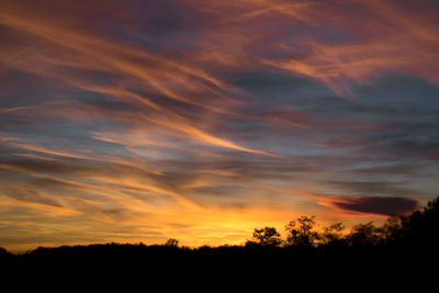 Silhouette trees against sky during sunset