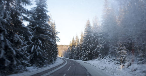 Road amidst snow covered trees against sky