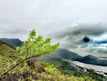 nature