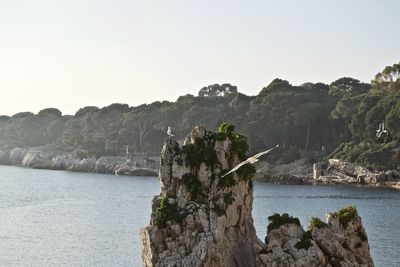 Scenic view of sea against clear sky