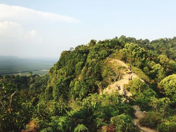 High angle view of trees by sea against sky