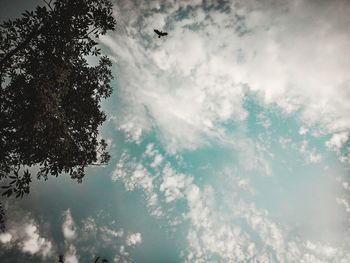 Low angle view of tree against sky