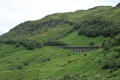 Scenic view of green landscape and mountains against sky