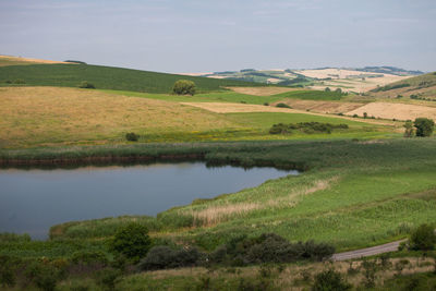 Rural fields and meadows from romania.