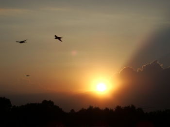 Silhouette birds flying in sky during sunset