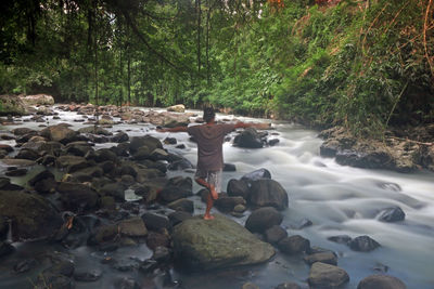 Scenic view of river stream in forest