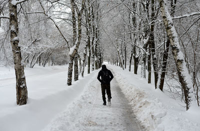 Rear view of man walking on snow covered bare trees