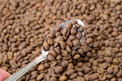 High angle view of coffee beans