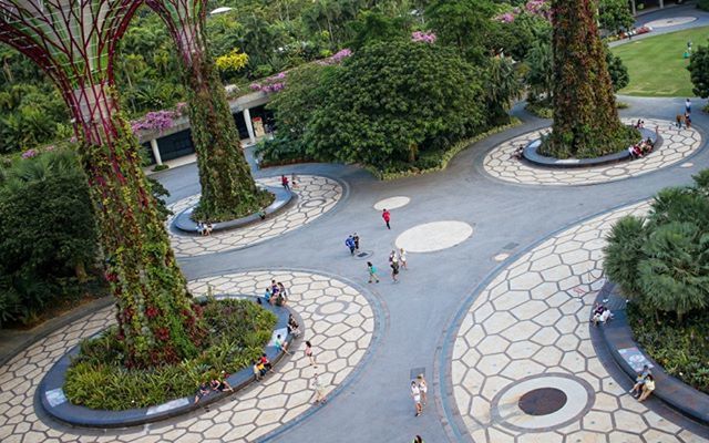 tree, growth, building exterior, architecture, built structure, transportation, plant, land vehicle, green color, high angle view, mode of transport, car, palm tree, city, incidental people, sunlight, road, park - man made space, street, day