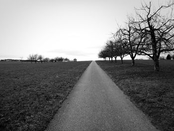Country road passing through bare trees