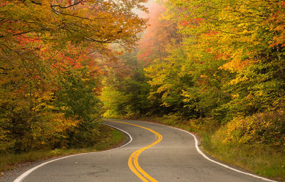 Road amidst trees in forest during autumn