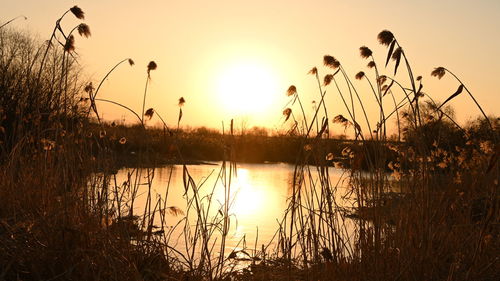 Scenic view of lake against sky during sunset