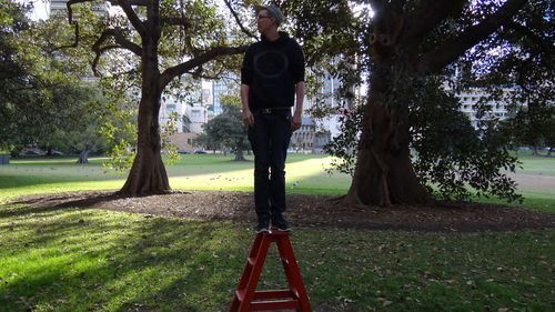 Rear view of man standing in park