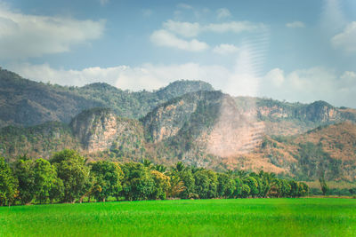 landscape