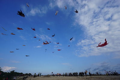 Low angle view of kites flying against blue sky