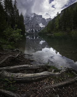 Scenic view of river amidst trees against sky
