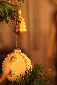 Close-up of christmas tree