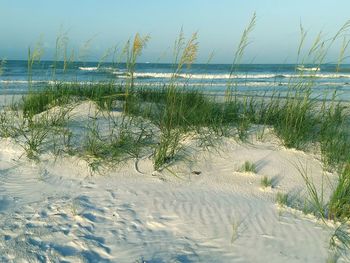 Scenic view of beach against sky